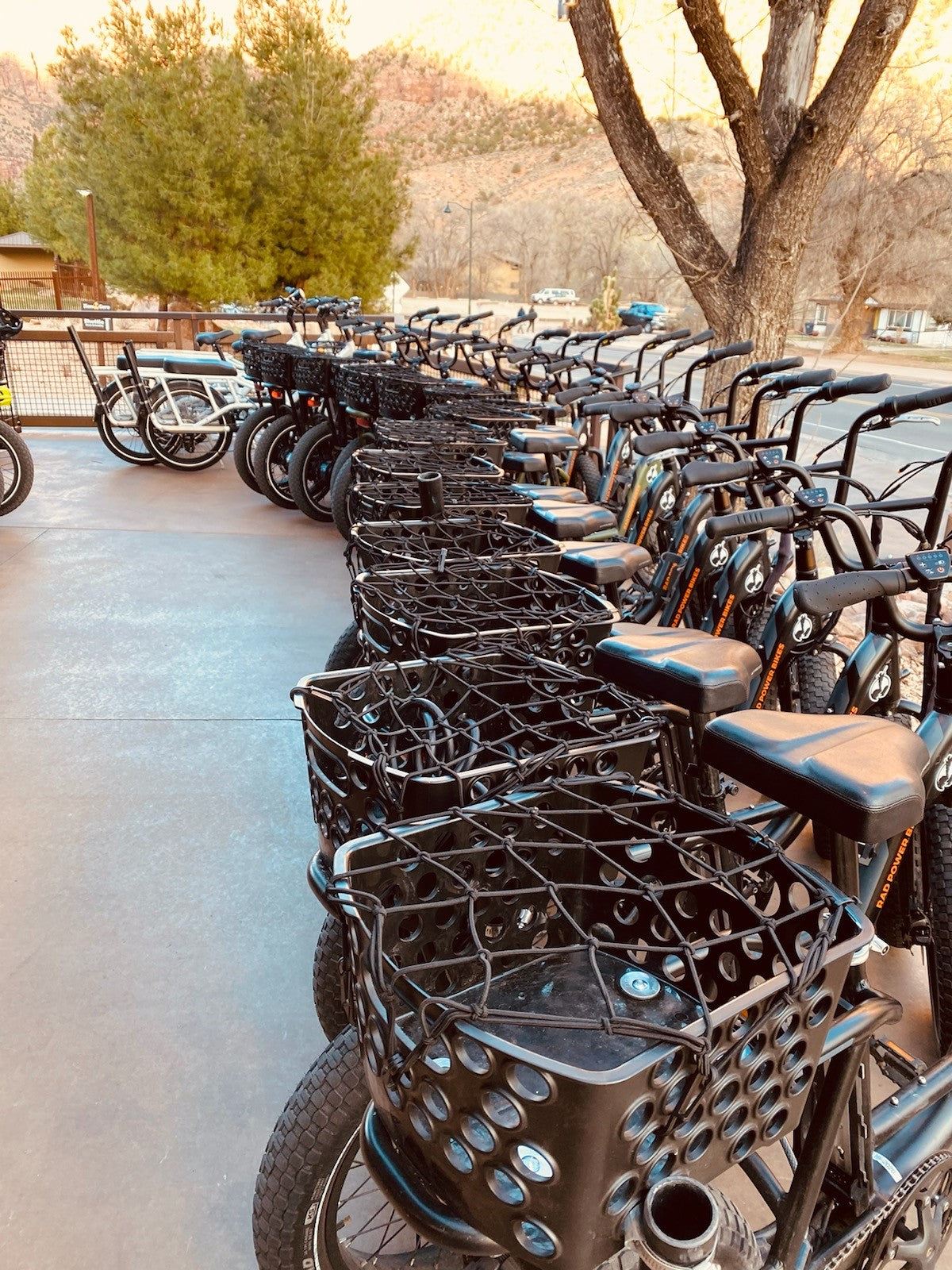 Bikase Dairyman Basket with Straps
